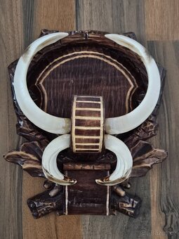 Lovecké trofeje - 4