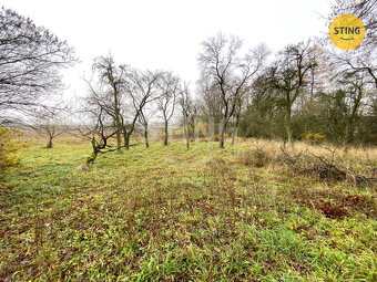 Vesnická usedlost k rekonstrukci se zahradou 8000m2,, 133953 - 4