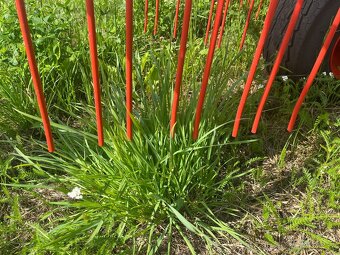 CLAAS Liner 700 TWIN - 4