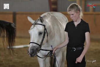 Appaloosa - 4