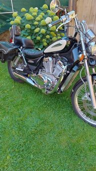 Suzuki Intruder VS 800 GL r.v. 98 - 4