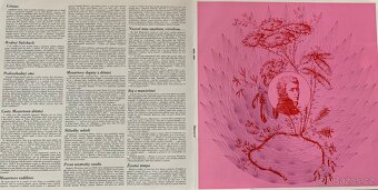 PRODÁM DVĚ GRAMOFONOVÉ DESKY - W.A.MOZART - 4