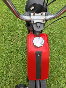 krásná BABETTA - 4