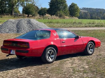 Pontiac Firebird 5.0 V8 Targa 1989 - 4
