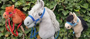 Hobby horse - 4
