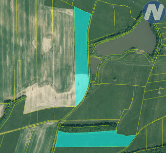 Prodej podílu 1/3 zemědělských pozemků, 182831 m2, Němčice - 4