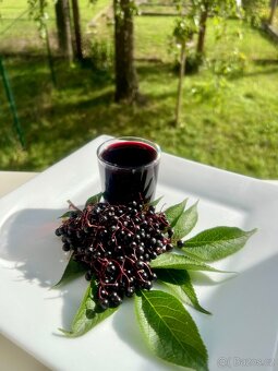 Čerstvý domácí bezinkový likér - 4