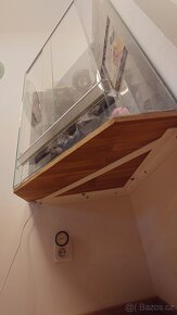 Terárium - chameleon - 4