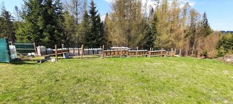 Prodam vyzimovane oddelky - 4