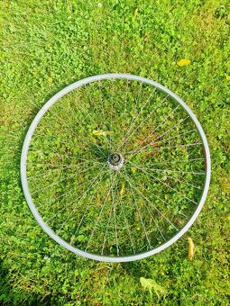 Kolo campagnolo - 4