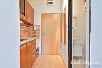 Pronájem bytu 1+kk, Jedovnická, Líšeň, 11500 Kč/měs, 22 m2 - 4