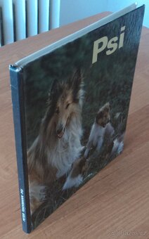 Psi, Stavby zvířat - 4