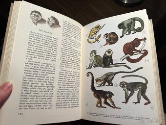 Světem zvířat - 4