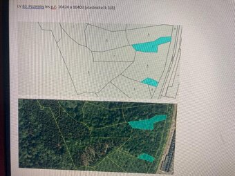 PRODEJ LESA 11 764 m2 Vsetín 211.752,- Kč (18,- Kč/m2) - 4