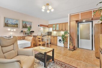 Pronájem 1kk sídliště Pod Vyhlídkou - 4