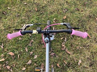 Early Rider Belter 16" - 4