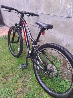 Gt stomper 24" - 4