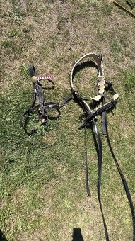 Prodám tažné postroje na koně - 4