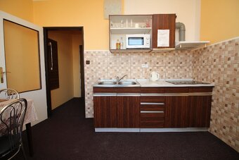 Ubytování u Pedra Český Brod - 4