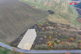 Prodej pole, 1163 m², Nepomuk - 4