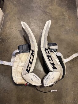 Betony CCM 34+3 - 4