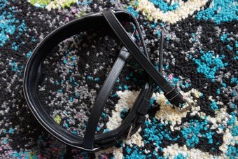 Úklid sedlovny - věci na koně - 4