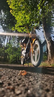 Manet korado 216 - 4