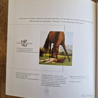 Horses - top fotky koní (CubeBook, 2010) - 4