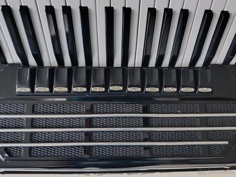 DELICIA Dineta de luxe - 4