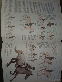 Koně ..velká kniha o chovu a výcviku koni - 4