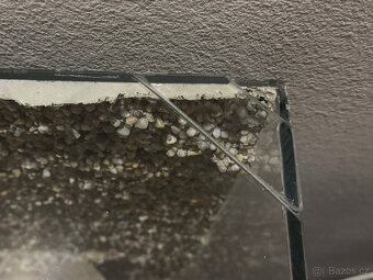 Terárium pro Agamu - 4