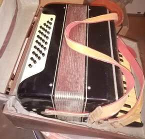 akordeon Lignatone - 4