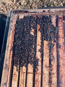 Vyzimovaný oddělek - 4