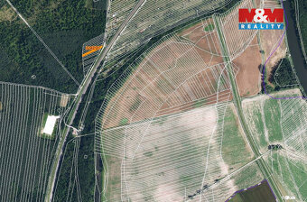 Prodej lesa, 261 m², Břeclav-Poštorná - 4