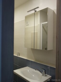 Pronájem bytu 1+1, Vyškov - 4