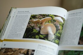 Houby - česká encyklopedie - 4