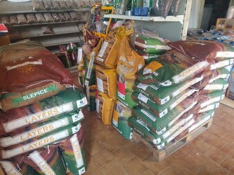 Iron pet beef 12 kg 950 Kč - 4