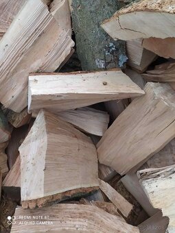 Palivové dřevo dříví - 4