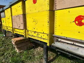 Vyzimovaná včelstva - 4