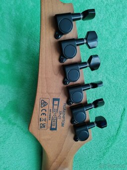 Ibanez RGA - 4