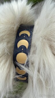 Ručně zdobený modro-zlatý kožený obojek - 4