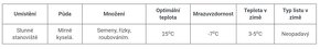 Fejchoa - Aka jedlá - 4