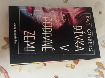 Dívka v podivné zemi - 4