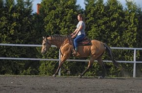PŘIPOUŠTĚNÍ QH-BENTLEY DOC POWER - 4