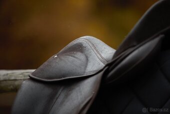 Drezurní Childéric 17,5 - 4