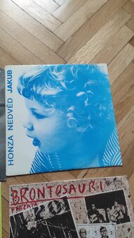 LP Honza Nedvěd ,Brontosauři - 4