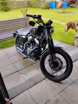 Harley Davidson XL1200n - 4