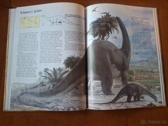 Dětská kniha Dinosauři A4 - 4