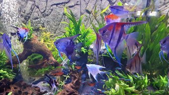 Akvárium sklo optiwhite - 4