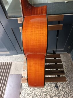 Kytara 4/4 - 4